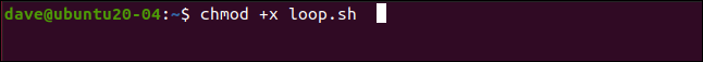 chmod + x loop.sh en una ventana de terminal.