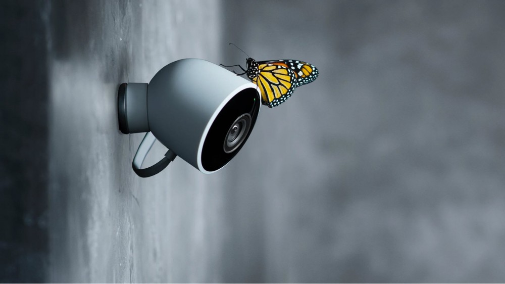 Una cámara Nest Cam Outdoor con una mariposa.